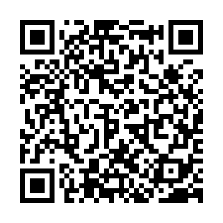 QR code for SAS979