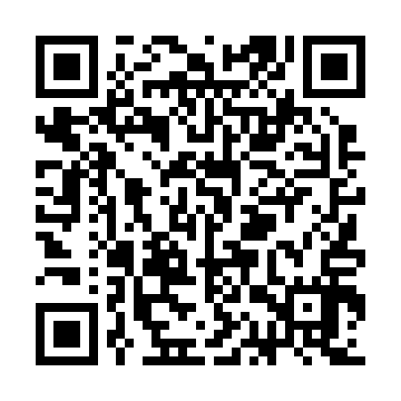QR code for SAT217