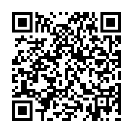 QR code for SAT317