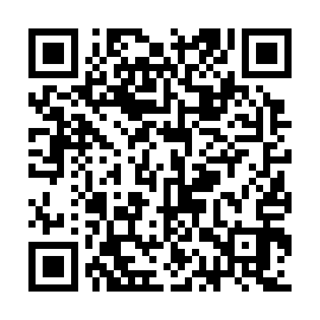 QR code for SAV313