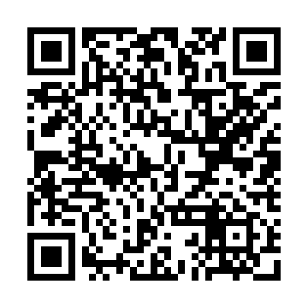 QR code for SBG919