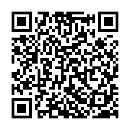 QR code for SBO991
