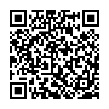QR code for SCP013