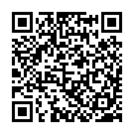 QR code for SCR295