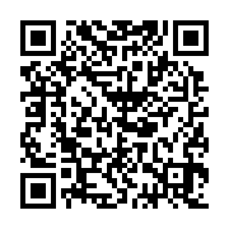 QR code for SCV333