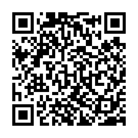 QR code for SDG611