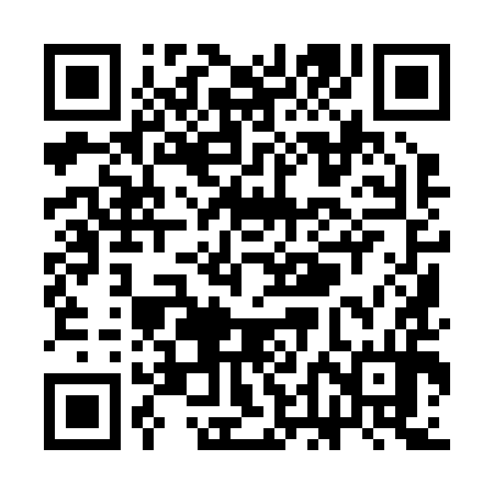 QR code for SDI294
