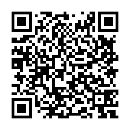 QR code for SDI878