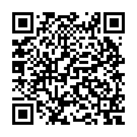 QR code for SDK291