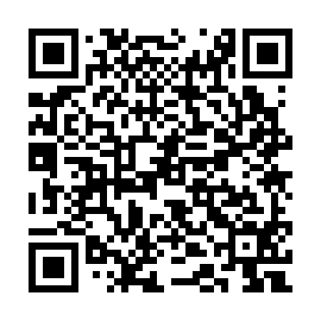 QR code for SDK394