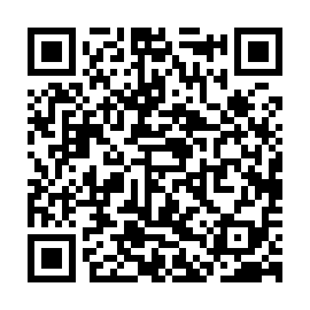 QR code for SDP919