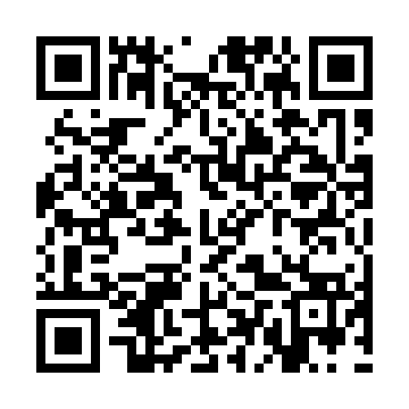QR code for SDQ173