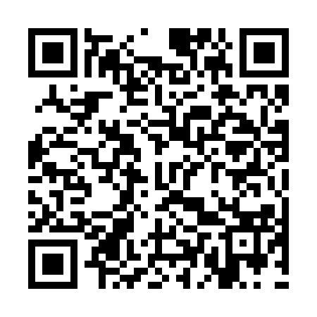 QR code for SDQ213