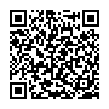 QR code for SDU291