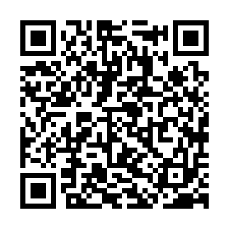 QR code for SDX313