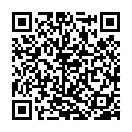 QR code for SDX439