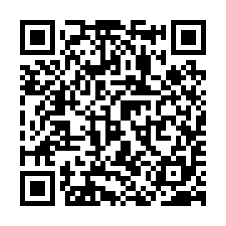 QR code for SEC295