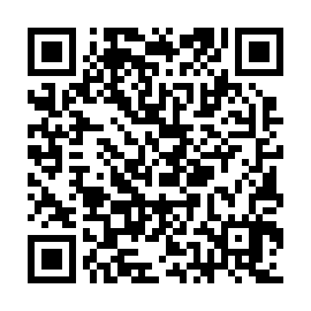 QR code for SEE207