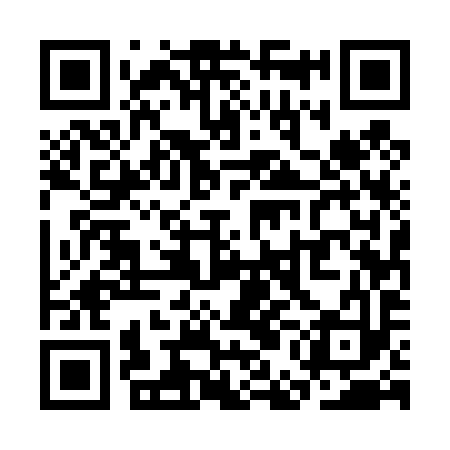 QR code for SEE493