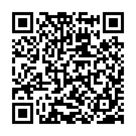 QR code for SEF294