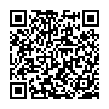 QR code for SEG251