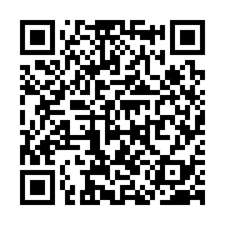QR code for SEG339