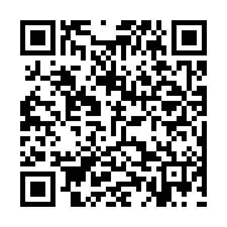 QR code for SEG386