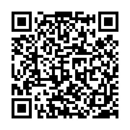 QR code for SEG493