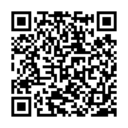 QR code for SEG613