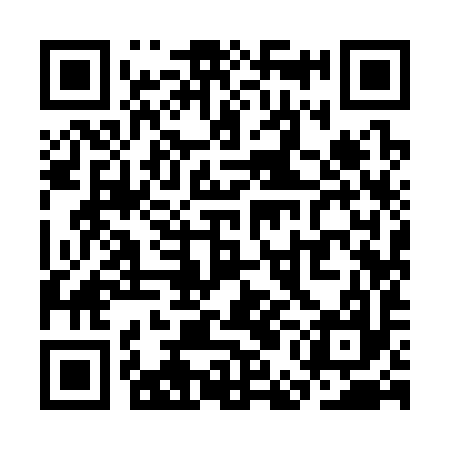 QR code for SEI397