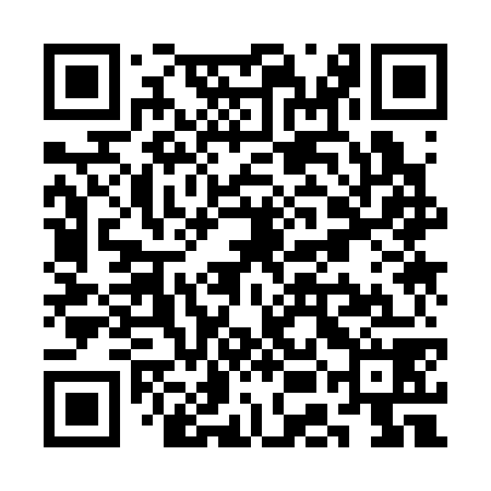 QR code for SEK378