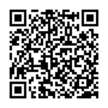 QR code for SEK381