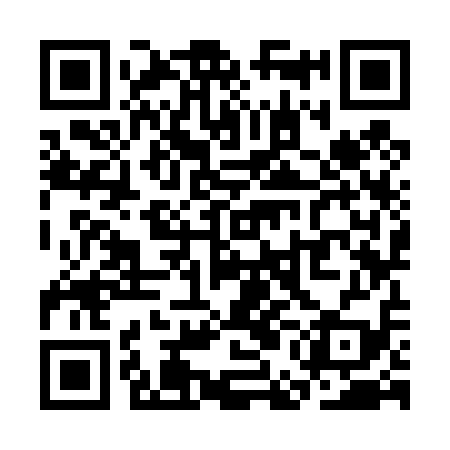 QR code for SEK419
