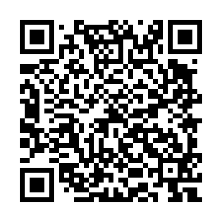 QR code for SEM493