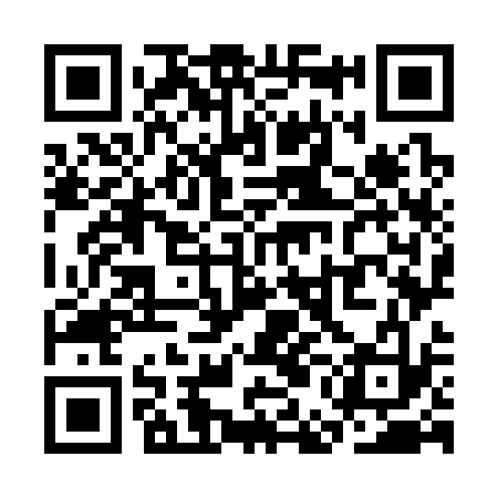 QR code for SEO333