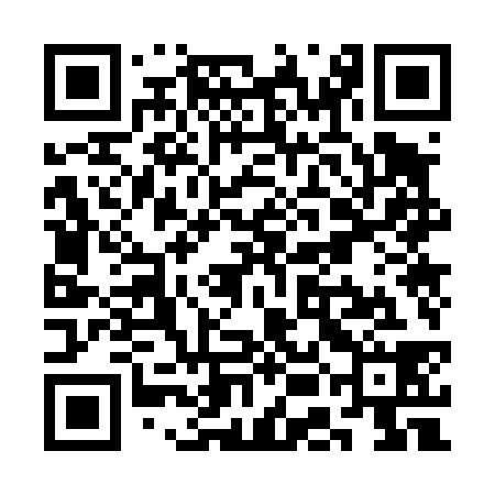 QR code for SEO438