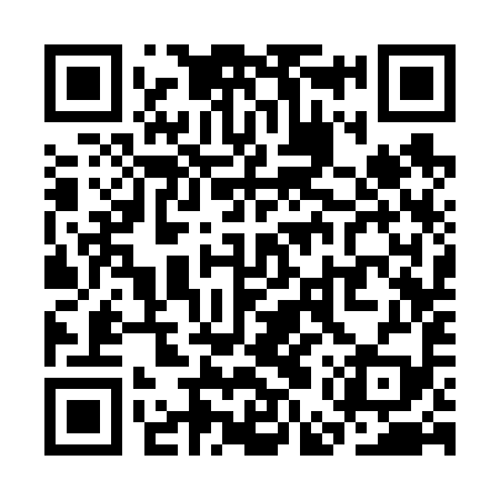 QR code for SES699