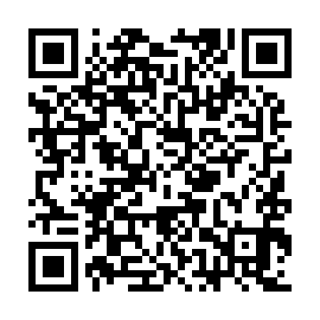 QR code for SET991