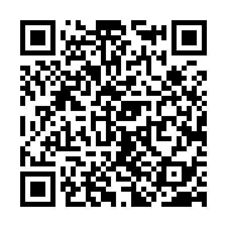 QR code for SFD939