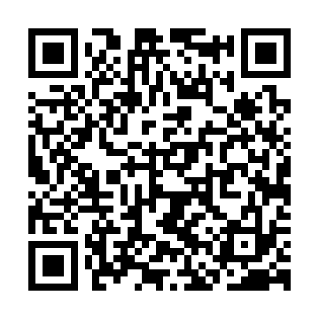 QR code for SFT333