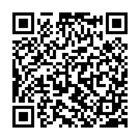 QR code for SFV003