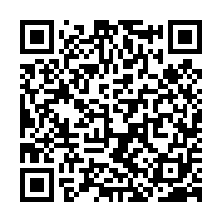 QR code for SFV451