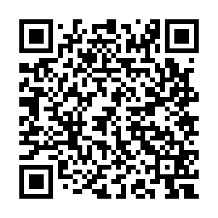 QR code for SFZ161