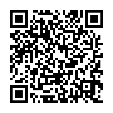QR code for SGD133