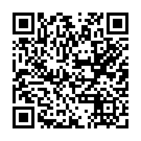 QR code for SGD339