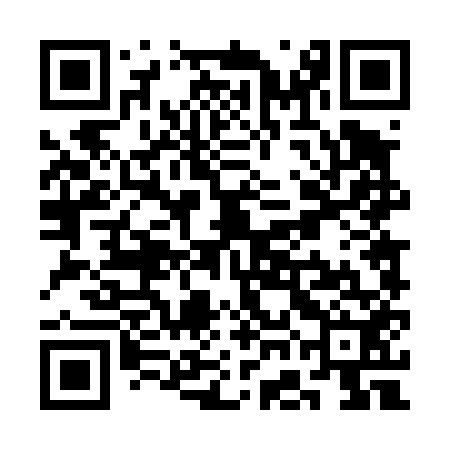 QR code for SGD452