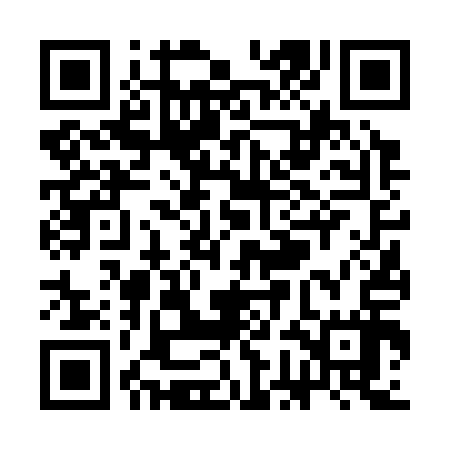 QR code for SGF317