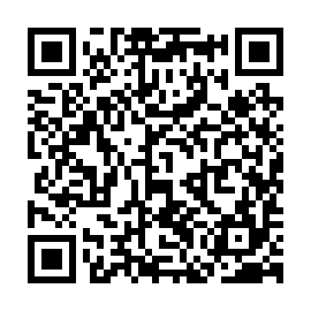 QR code for SGI294