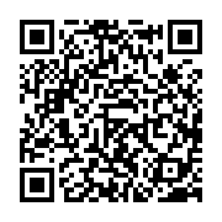 QR code for SGP919