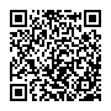 QR code for SGX384